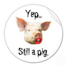 Lipstick on the Obamacare Pig